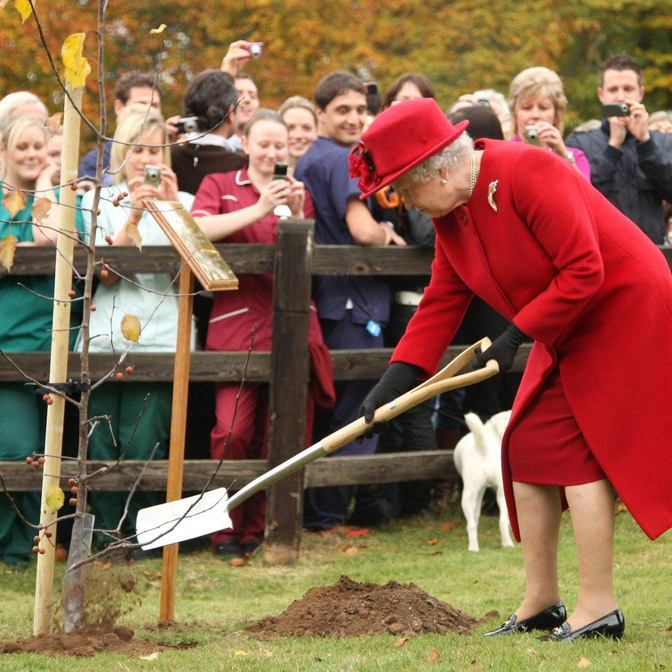 Image result for queen elizabeth 2 planting tree