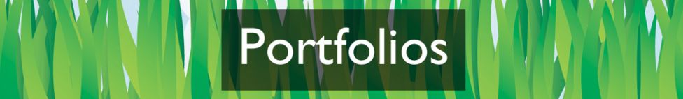 Section heading: Portfolios