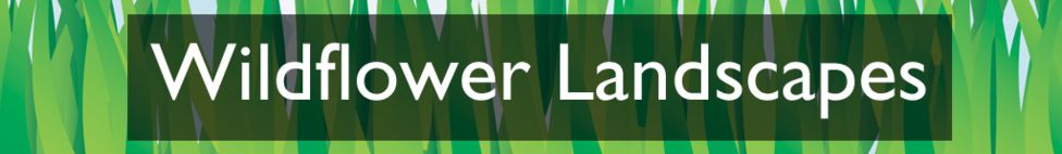 Section heading: Wildflower Landscapes