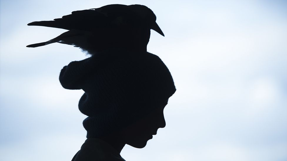 Penguin sitting on someone's head