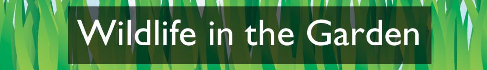 Section heading: Wildlife in the Garden