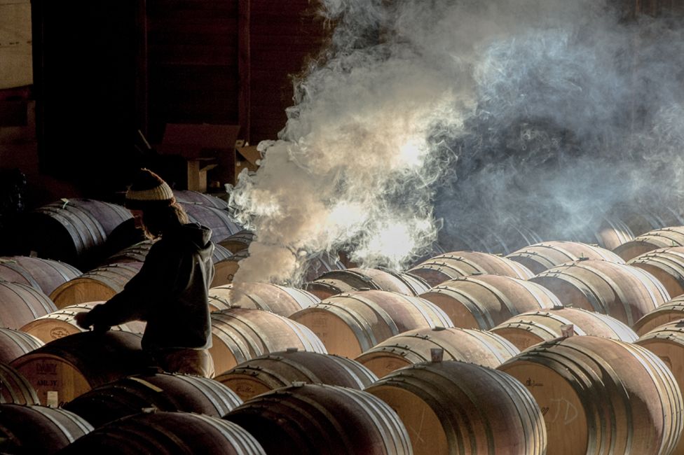 Mayasara Winery - by Robert Holmes (USA)