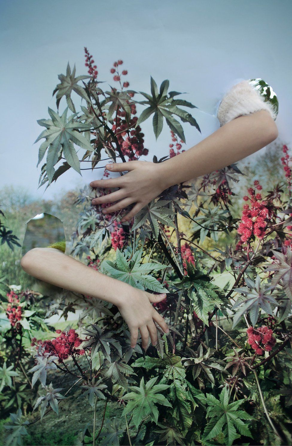 Από τη σειρά "Καμουφλάζ" (2015).  Βάνια Bucan, 1η θέση, ενιαία εικόνα, LensCulture βραβεία της έκθεσης 2015.