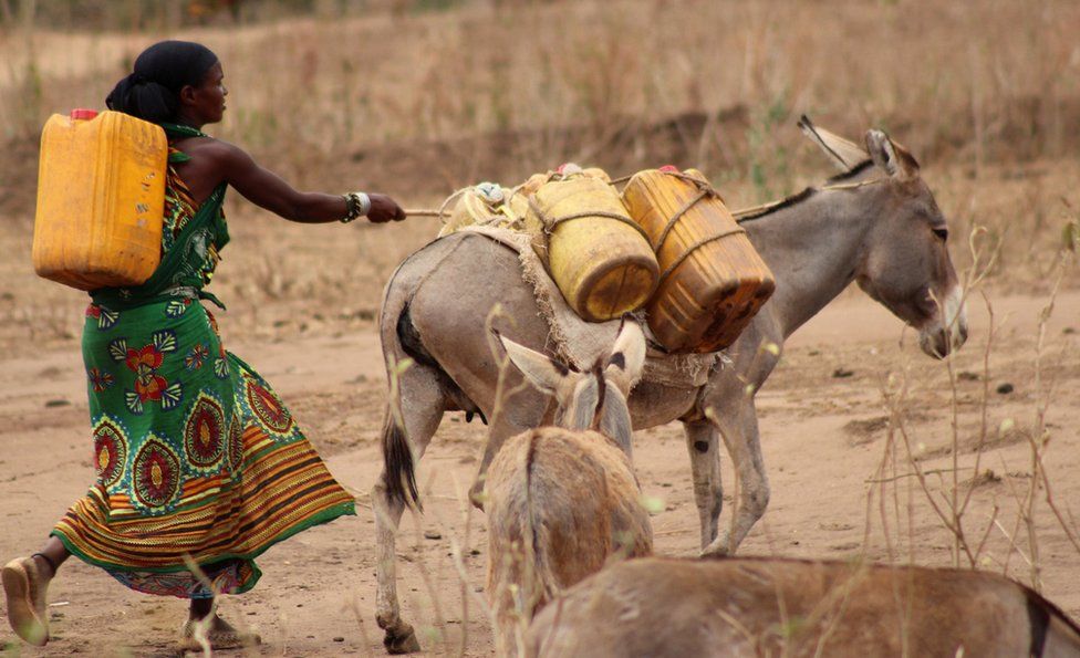 Woman leading donkey in Marsabit, Kenya