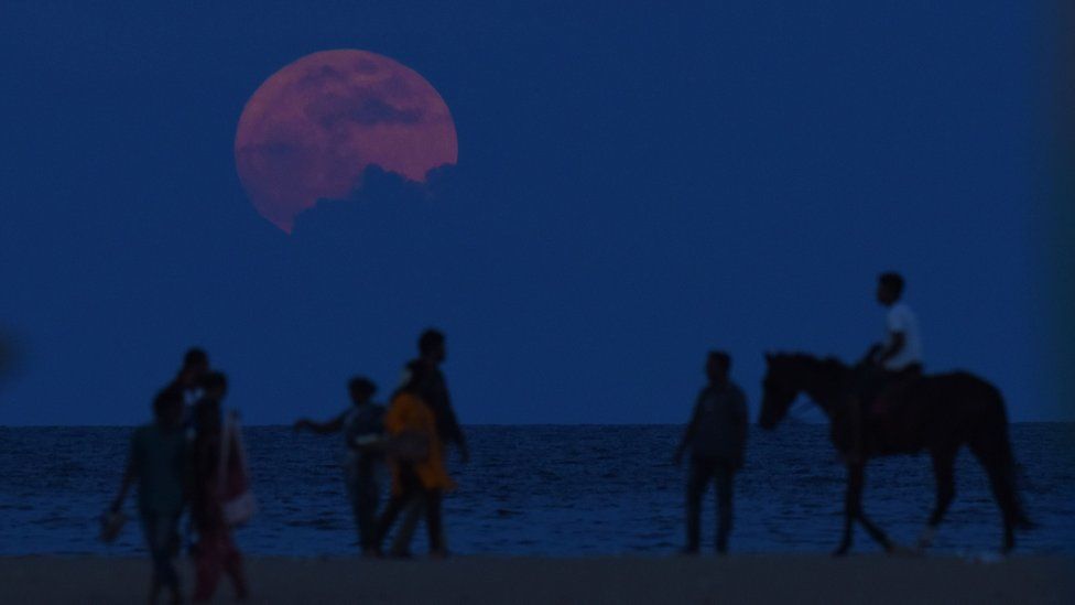 An Indian man rides a horse past people watching the "supermoon" rise at Marina Beach in Chennai on November 14,2016