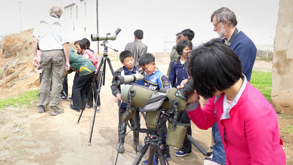 North Korean children looking at shorebirds through telescopes