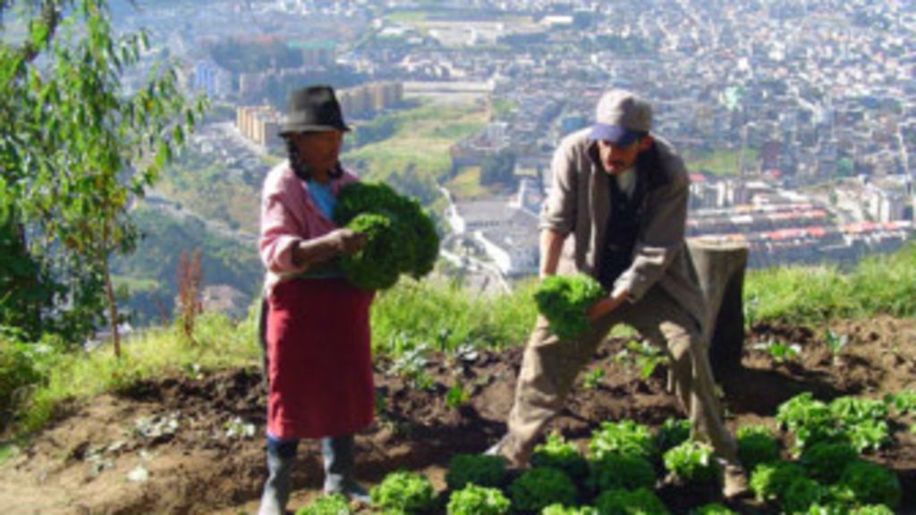 140409183849_ciudades_verdes_quito_336x189_fao_nocredit