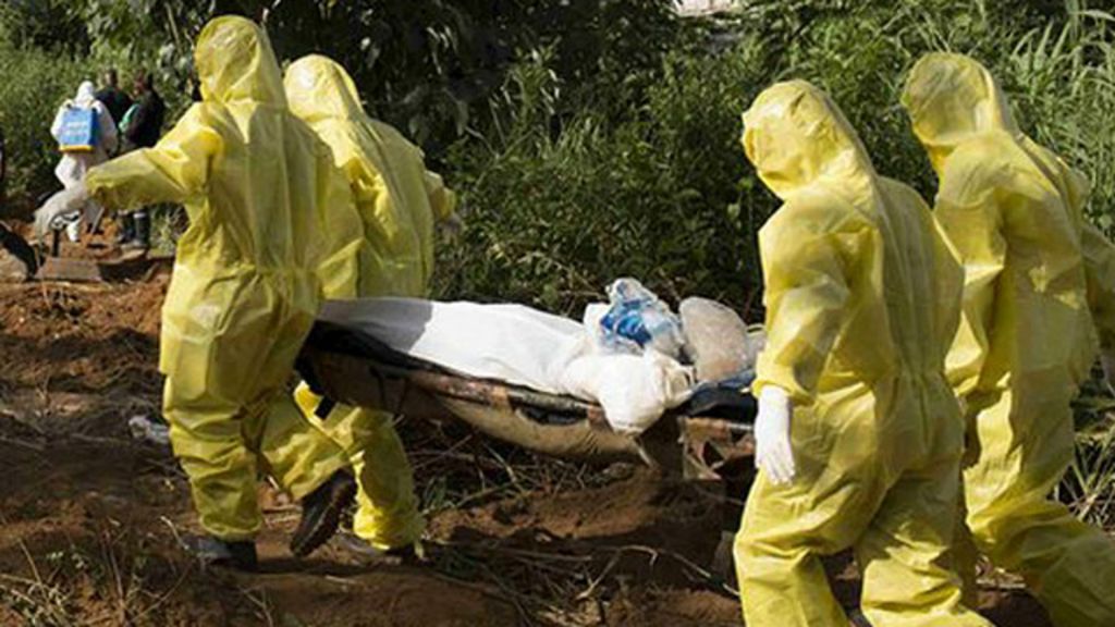 Fiebre de lassa el virus mortal que quedó oculto por la crisis del