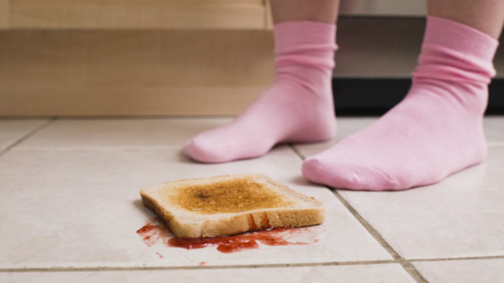 ¿Es seguro comer algo que cayó al suelo si se recoge en menos de 5