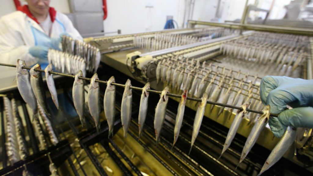 роспотребнадзор запретил тонгкат роспотребнадзор запретил тонгкат