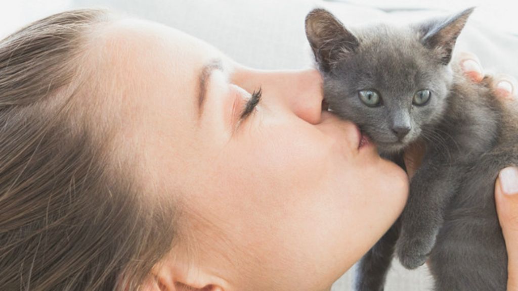 151021144508_cats_girl_kissing_kitten_640x360_thinkstock_nocredit.jpg