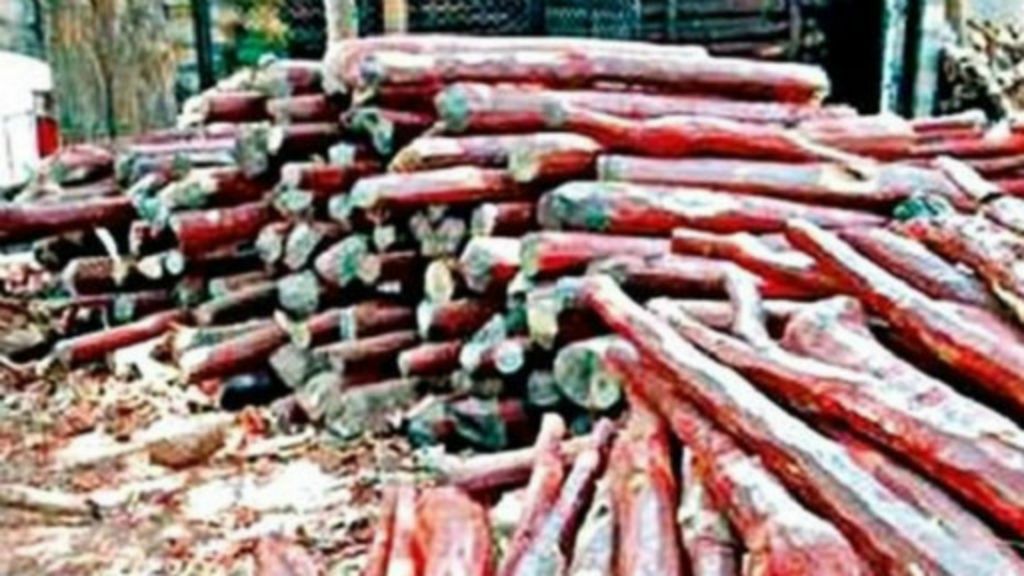 ஆந்திராவில் செம்மரம் வெட்ட வந்ததாக கூறி 32 தமிழர்களுக்கு நீதிமன்ற காவல்