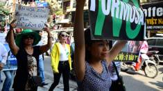 Tuần hành môi trường và 'cá chết' 5/6/2016