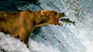 Veja as melhores fotos de natureza do mundo