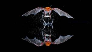 Veja as melhores fotos de natureza do mundo