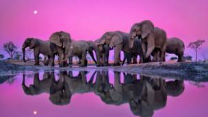 Veja as melhores fotos de natureza do mundo