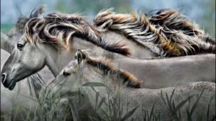 Veja as melhores fotos de natureza do mundo