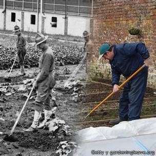 140917170103_shell_shock_tratamiento_304x304_gettyygardeningleave.org.jpg