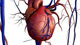 Corazón