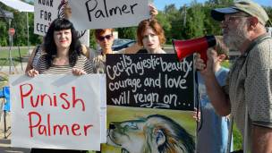Protesta contra Palmer