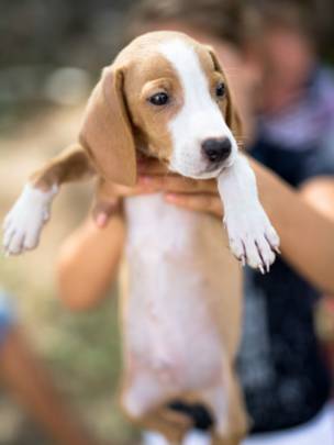 Foto: Thinkstock