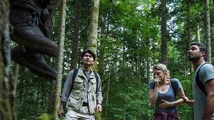 Aokigahara, el bosque del suicidio de Japón que inspiró
