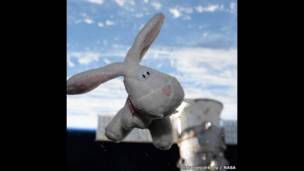 Пасхальный кролик