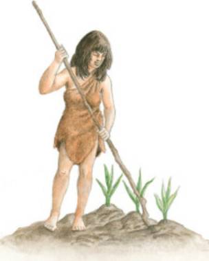 agriculture