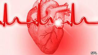 Electrocardiograma