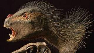 Pegomastax africanus