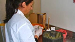 Laboratorio