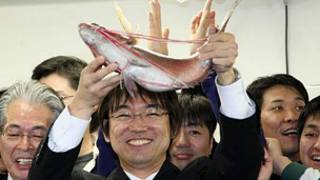 Toru Hashimoto
