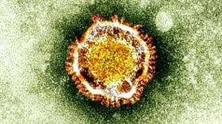 coronavirus