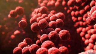 150731202401__sp_bacteria_624x351_thinks