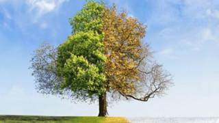 150925113503_seasons_624x351_thinkstock_
