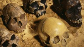 151007165641_humanos_especie_624x351_spl