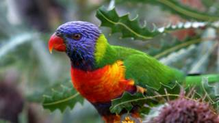 151021112237_colores_624x351_afp_nocredi