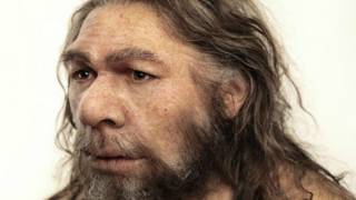 Neanderthals