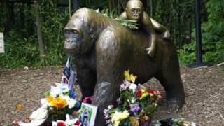 La gente dejó flores, fotos y mensajes para recordar a Harambe, el gorila de 17 años que debió ser sacrificado.
