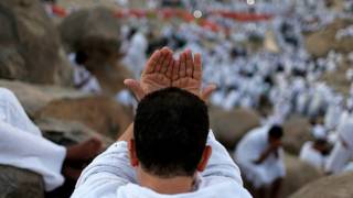 #الحديبة_نيوز