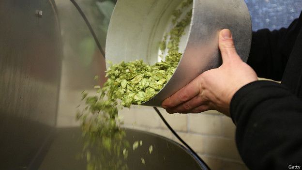 150806105746_hops_beer_624x351_getty.jpg