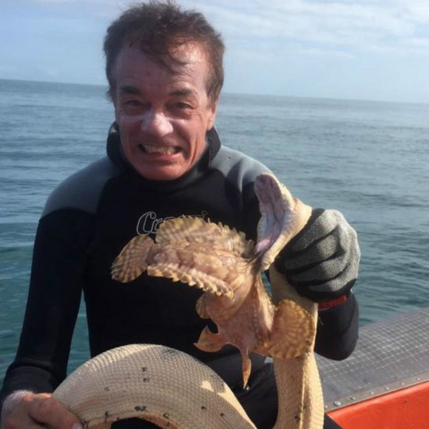 150901120934_fish_and_snake_549x549_bbc_