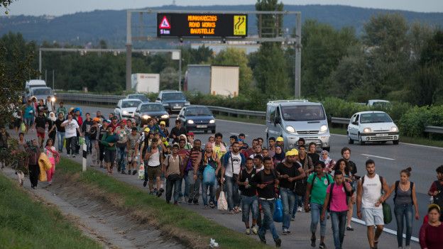 Мигранты идут по шоссе