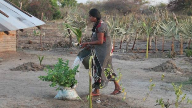 151010163330_sampur_512x288_bbc_nocredit