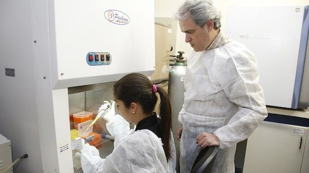 Investigadores brasileños durante estudios con melanoma en un laboratorio.