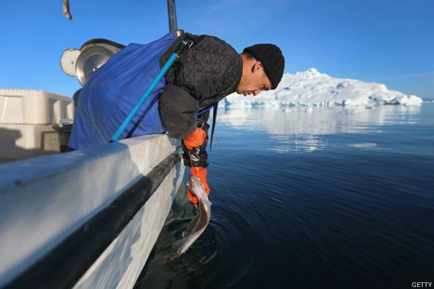 151109142059_a_fisherman_in_ilulissat_624x415_getty.jpg