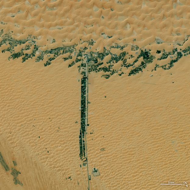 Desarrollos urbanos en Emiratos Árabes Unidos. Foto: NASA