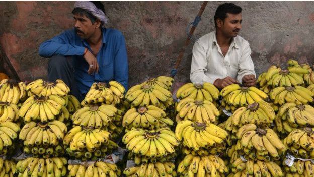 La producción de bananas es un importante rubro en Asia.