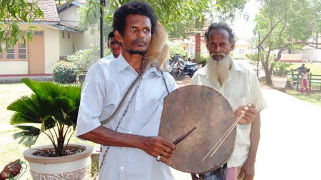 160221162228_snake__512x288_bbc_nocredit