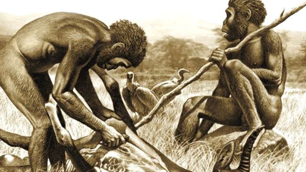Homo erectus